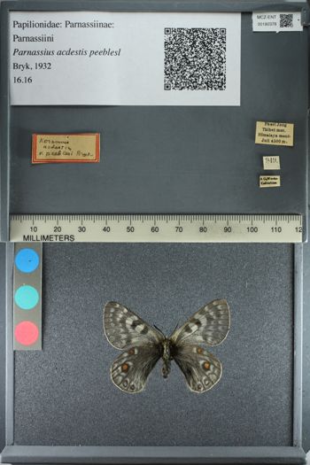 Media type: image;   Entomology 180378